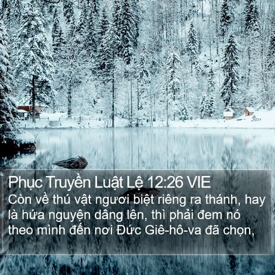 Phục Truyền Luật Lệ 12:26 VIE Bible Verse Image