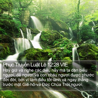 Phục Truyền Luật Lệ 12:28 VIE Bible Verse Image