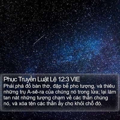 Phục Truyền Luật Lệ 12:3 VIE Bible Verse Image