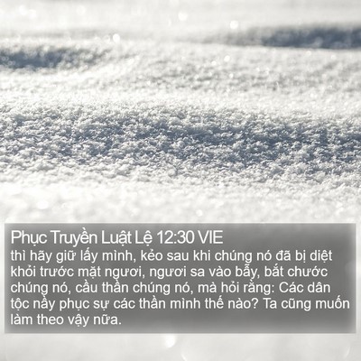 Phục Truyền Luật Lệ 12:30 VIE Bible Verse Image