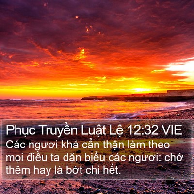 Phục Truyền Luật Lệ 12:32 VIE Bible Verse Image