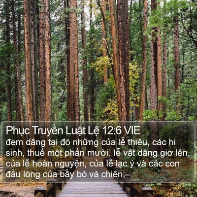 Phục Truyền Luật Lệ 12:6 VIE Bible Verse Image