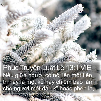 Phục Truyền Luật Lệ 13:1 VIE Bible Verse Image