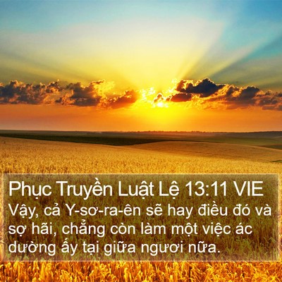 Phục Truyền Luật Lệ 13:11 VIE Bible Verse Image