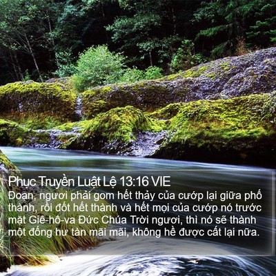 Phục Truyền Luật Lệ 13:16 VIE Bible Verse Image
