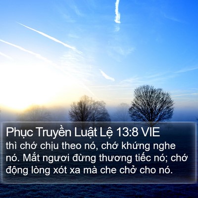 Phục Truyền Luật Lệ 13:8 VIE Bible Verse Image