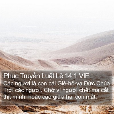 Phục Truyền Luật Lệ 14:1 VIE Bible Verse Image