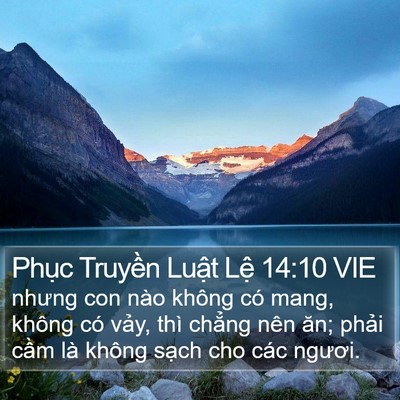 Phục Truyền Luật Lệ 14:10 VIE Bible Verse Image