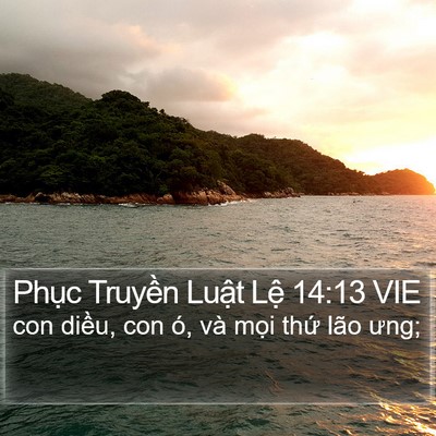 Phục Truyền Luật Lệ 14:13 VIE Bible Verse Image