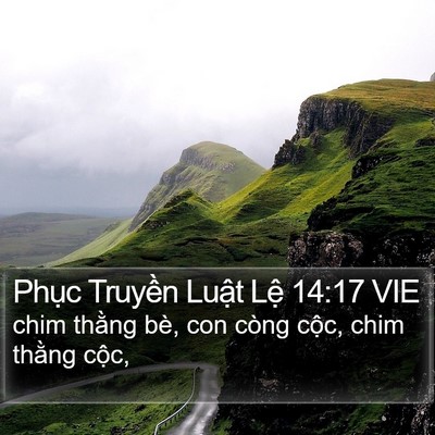Phục Truyền Luật Lệ 14:17 VIE Bible Verse Image