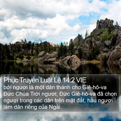 Phục Truyền Luật Lệ 14:2 VIE Bible Verse Image