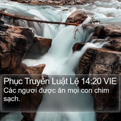Phục Truyền Luật Lệ 14:20 VIE Bible Verse Image