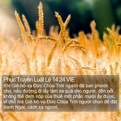 Phục Truyền Luật Lệ 14:24 VIE Bible Verse Image
