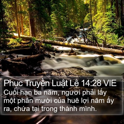 Phục Truyền Luật Lệ 14:28 VIE Bible Verse Image