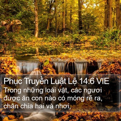 Phục Truyền Luật Lệ 14:6 VIE Bible Verse Image