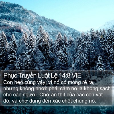 Phục Truyền Luật Lệ 14:8 VIE Bible Verse Image