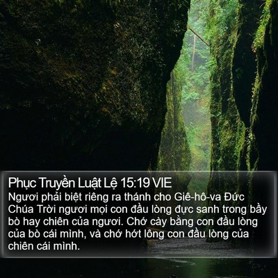Phục Truyền Luật Lệ 15:19 VIE Bible Verse Image