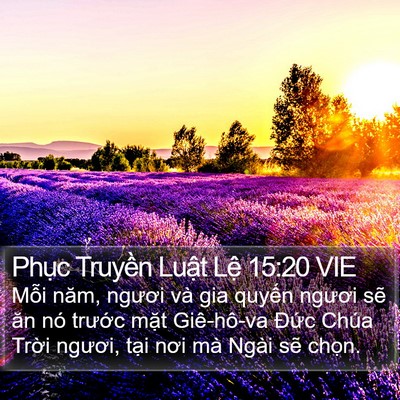 Phục Truyền Luật Lệ 15:20 VIE Bible Verse Image