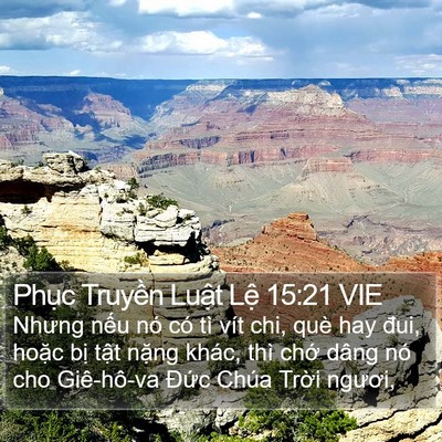Phục Truyền Luật Lệ 15:21 VIE Bible Verse Image