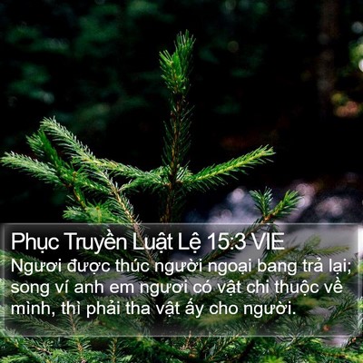 Phục Truyền Luật Lệ 15:3 VIE Bible Verse Image