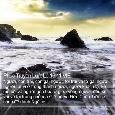 Phục Truyền Luật Lệ 16:11 VIE Bible Verse Image