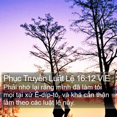 Phục Truyền Luật Lệ 16:12 VIE Bible Verse Image
