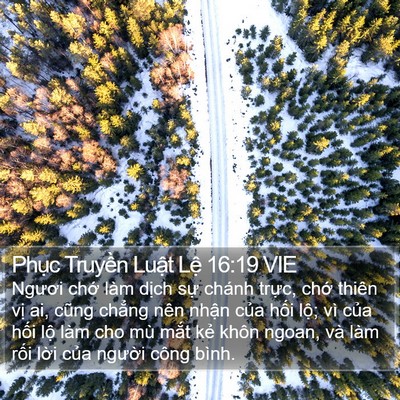 Phục Truyền Luật Lệ 16:19 VIE Bible Verse Image