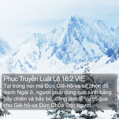 Phục Truyền Luật Lệ 16:2 VIE Bible Verse Image