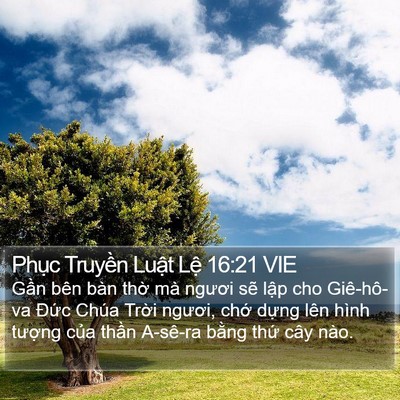 Phục Truyền Luật Lệ 16:21 VIE Bible Verse Image