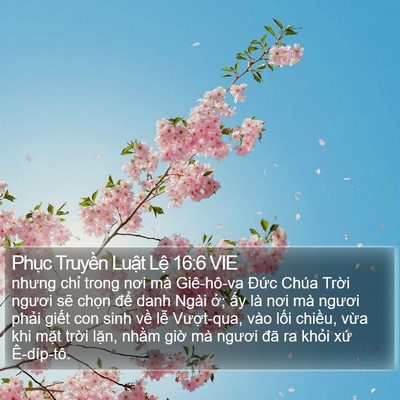 Phục Truyền Luật Lệ 16:6 VIE Bible Verse Image