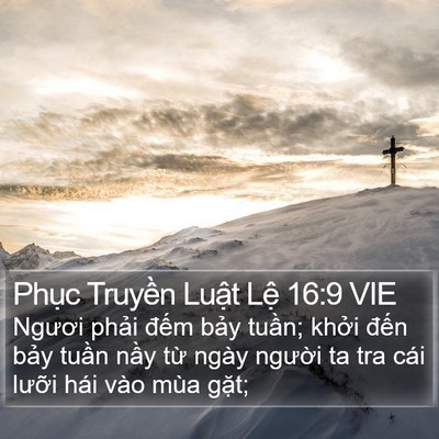 Phục Truyền Luật Lệ 16:9 VIE Bible Verse Image