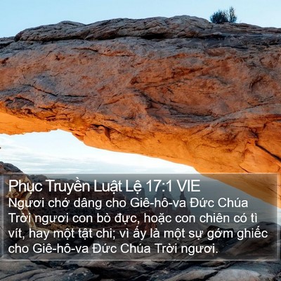 Phục Truyền Luật Lệ 17:1 VIE Bible Verse Image