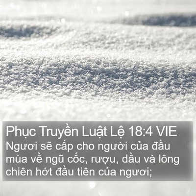 Phục Truyền Luật Lệ 18:4 VIE Bible Verse Image