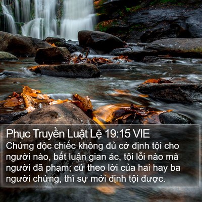 Phục Truyền Luật Lệ 19:15 VIE Bible Verse Image