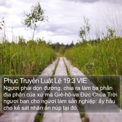Phục Truyền Luật Lệ 19:3 VIE Bible Verse Image