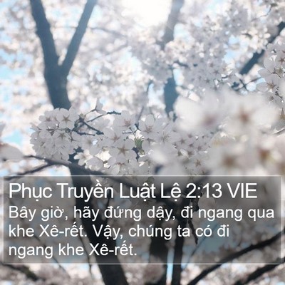 Phục Truyền Luật Lệ 2:13 VIE Bible Verse Image