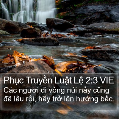 Phục Truyền Luật Lệ 2:3 VIE Bible Verse Image