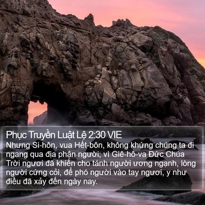 Phục Truyền Luật Lệ 2:30 VIE Bible Verse Image