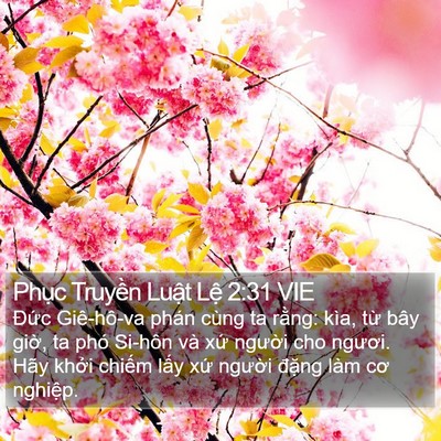 Phục Truyền Luật Lệ 2:31 VIE Bible Verse Image