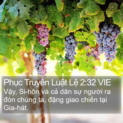 Phục Truyền Luật Lệ 2:32 VIE Bible Verse Image