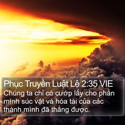Phục Truyền Luật Lệ 2:35 VIE Bible Verse Image
