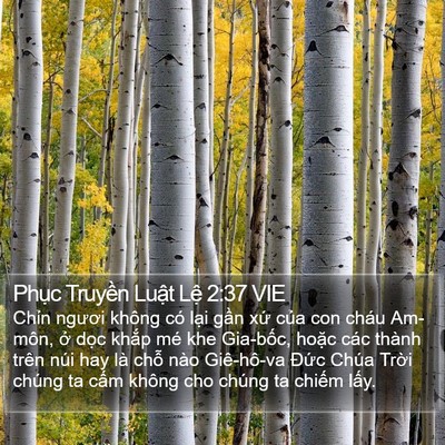 Phục Truyền Luật Lệ 2:37 VIE Bible Verse Image