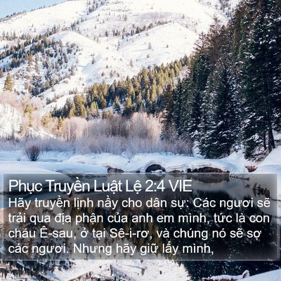 Phục Truyền Luật Lệ 2:4 VIE Bible Verse Image