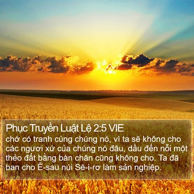 Phục Truyền Luật Lệ 2:5 VIE Bible Verse Image