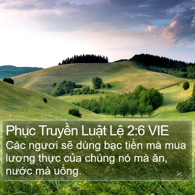 Phục Truyền Luật Lệ 2:6 VIE Bible Verse Image