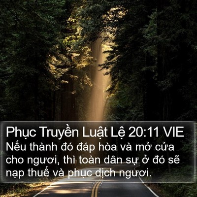 Phục Truyền Luật Lệ 20:11 VIE Bible Verse Image