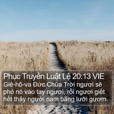 Phục Truyền Luật Lệ 20:13 VIE Bible Verse Image