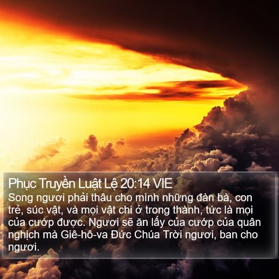 Phục Truyền Luật Lệ 20:14 VIE Bible Verse Image