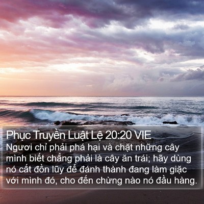 Phục Truyền Luật Lệ 20:20 VIE Bible Verse Image