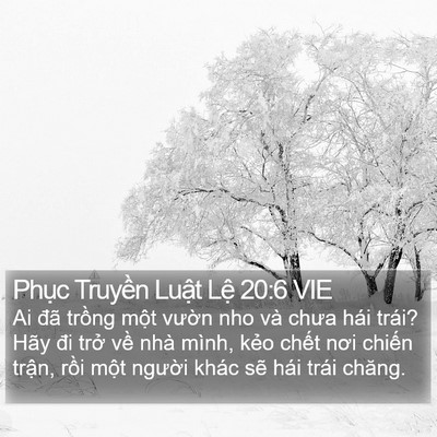 Phục Truyền Luật Lệ 20:6 VIE Bible Verse Image